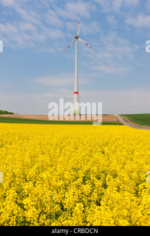 Turbina eolica, impianto di energia eolica, con un campo di canola, Hesse, Germania, Europa Foto Stock