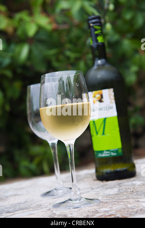 Bottiglia di vino bianco e bicchieri di vino sotto un albero di olivo, Bol, Isola di Brac, Dalmazia, Croazia, Europa Foto Stock