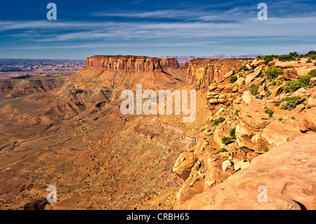 Grandview Point, Island in the Sky, il Parco Nazionale di Canyonlands, Utah, Stati Uniti d'America Foto Stock