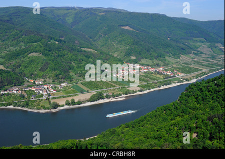 Escursione in barca sul fiume Danubio, vigneti, Valle del Danubio, Sito Patrimonio Mondiale dell'UNESCO Wachau, Austria Inferiore, Austria, Europa Foto Stock