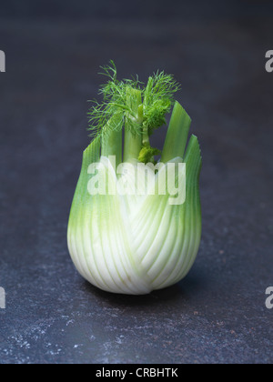 In prossimità della testa di finocchio Foto Stock