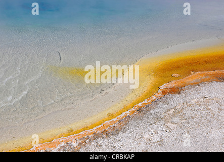 Tramonto sul lago, geyser, area di uscita e colorati di batteri termofili, microrganismi, sabbia nera bacino, Upper Geyser Basin Foto Stock