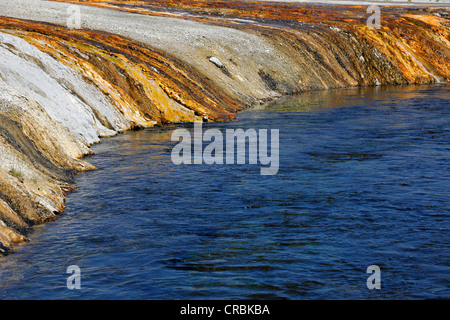 Colorate batteri termofili, uscita del Cliff Geyser, Firehole River, sabbia nera bacino, Upper Geyser Basin Foto Stock