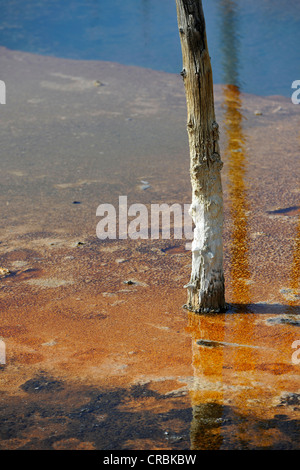 Piscina opalescente, geyser, area di uscita e colorati di batteri termofili, microrganismi, sabbia nera bacino, Upper Geyser Basin Foto Stock