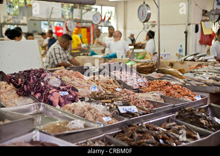 Il pesce appena pescato e frutti di mare al mercato del pesce in Panama City, Panama America Centrale Foto Stock