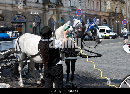 Una donna di spruzzatura di acqua su cavalli di un carrello nella calura estiva, Praga, Repubblica Ceca, Europa Foto Stock