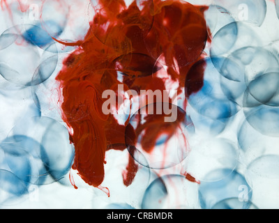 Le cellule del sangue che si disperdono Foto Stock
