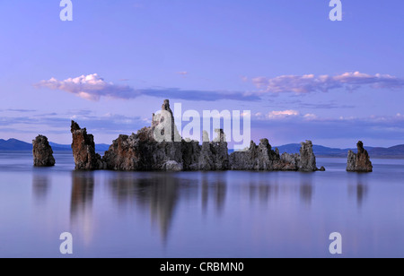 Parachute tufo con falco pescatore (Pandion haliaetus) sul nido, crepuscolo, tufo, formazioni di tufo, Sud Area di tufo, Mono Lago Foto Stock