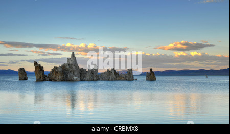 Paracadute di tufo, Falco pescatore (Pandion haliaetus) in un nido, crepuscolo, tramonto, tufo formazioni rocciose, Sud Area di tufo, Mono Lago Foto Stock