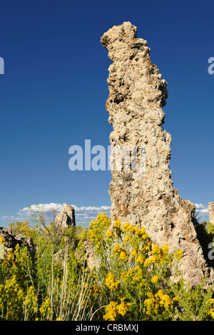 Il tufo formazioni rocciose, Sud Area di tufo, Mono lago, un lago salino, Bacino di mono e regione di gamma, Sierra Nevada, in California Foto Stock