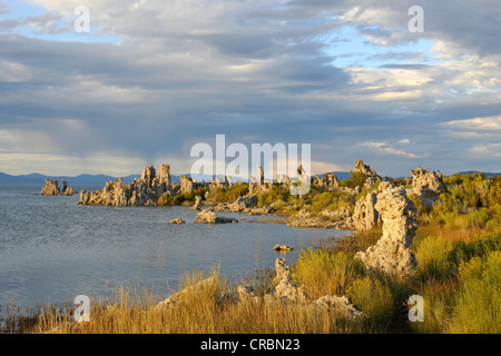 Il tufo formazioni rocciose, Sud Area di tufo, Mono lago, un lago salino, Bacino di mono e regione di gamma, Sierra Nevada, in California Foto Stock