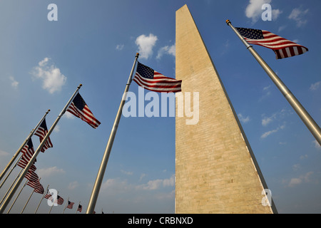 Bandiere degli Stati Uniti di fronte al Washington monumento nazionale, l'obelisco, Washington DC, Distretto di Columbia, Stati Uniti d'America Foto Stock