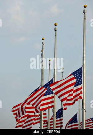 Bandiere degli Stati Uniti a metà montante, Washington monumento nazionale, l'obelisco, Washington DC, Distretto di Columbia, Stati Uniti d'America Foto Stock