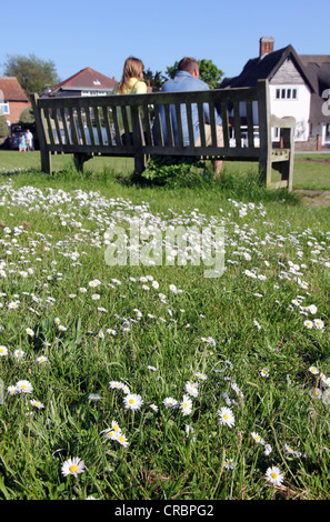 In estate sul verde villaggio in Walberswick, Southwold Suffolk, un affascinante villaggio sul mare in East Anglia Foto Stock