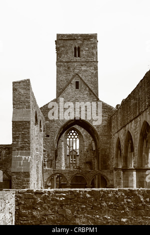 Chiesa nel monastero di Abbazia di Sligo, Sligo, nella contea di Sligo, Connacht, Irlanda, Europa Foto Stock