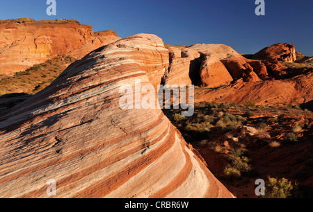 Fire wave rock formazione, l'onda di nastrare ed eroso azteca rocce di arenaria, dormendo Lizard formazione rocciosa nella parte posteriore Foto Stock