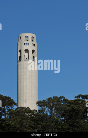 Coit Tower, Telegraph Hill, San Francisco, California, Stati Uniti d'America, PublicGround Foto Stock