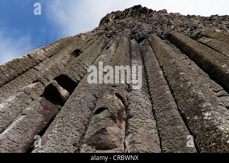 L'organo, organo-tubi, colonne basaltiche, Giant's Causeway Causeway Coast, County Antrim, Irlanda del Nord, Regno Unito Foto Stock