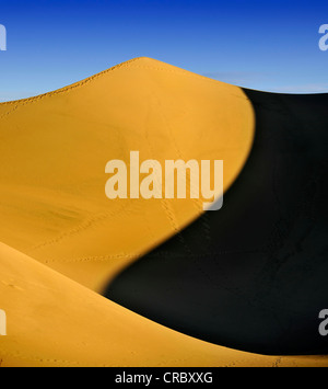 Star Dune, le più alte dune del Mesquite Flat dune di sabbia, noto da Star Wars, Early Morning Light, tubo da stufa di pozzetti Foto Stock