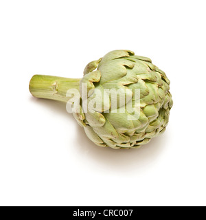 Carciofi isolato su un bianco di sfondo per studio. Foto Stock