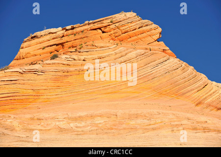 Coyote Buttes formazione di roccia, sulla strada per l'onda roccia arenaria, North Coyote Buttes, Paria Canyon Vermillion Cliffs Foto Stock
