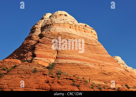 Coyote Buttes formazione di roccia, sulla strada per l'onda roccia arenaria, North Coyote Buttes, Paria Canyon Vermillion Cliffs Foto Stock