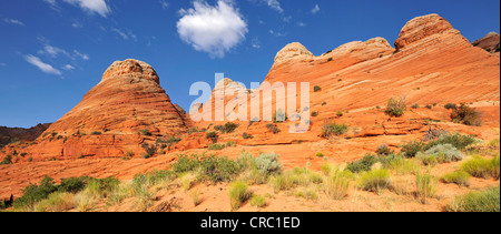 Coyote Buttes formazione di roccia, sulla strada per l'onda roccia arenaria, North Coyote Buttes, Paria Canyon Vermillion Cliffs Foto Stock