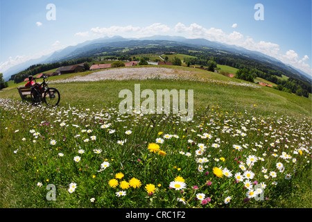 Punto di vedetta, Irschenberg, Oberland, Alta Baviera, Baviera, Germania, Europa PublicGround Foto Stock