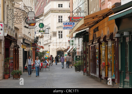 Untere Landstrasse street nel centro storico di Krems an der Donau, Wachau, Austria Inferiore, Austria, Europa Foto Stock