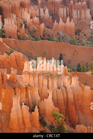 Formazione di roccia, Queen Victoria, Queens Garden Trail, Sunset Point, Parco Nazionale di Bryce Canyon, Utah, Stati Uniti d'America Foto Stock