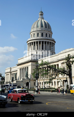 Anni Cinquanta auto d'epoca, nella parte anteriore del Capitolio Nacional, un edificio in stile neoclassico, Prado, Paseo de Marti, un Foto Stock