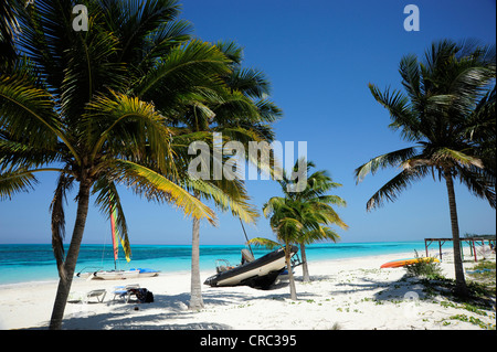 Spiaggia con palme, Cayo Levisa isola, Pinar del Rio provincia, Cuba, Antille Maggiori, Golfo del Messico, dei Caraibi Foto Stock