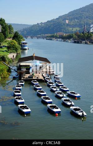 Noleggio barca presso il fiume Neckar, Heidelberg, valle del Neckar, Baden-Wuerttemberg, Germania, Europa Foto Stock