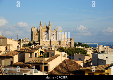 La Seu cathedral dietro le case nella città vecchia, Ciutat Antiga, Palma de Mallorca, Maiorca, isole Baleari, Mediterranea Foto Stock