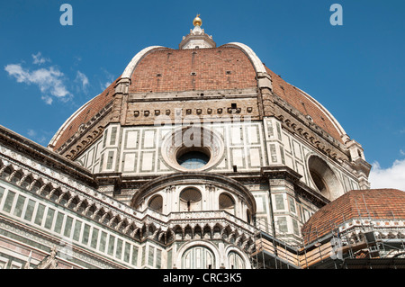 Dome, Cattedrale di Santa Maria del Fiore, Firenze, Toscana, Italia, Europa Foto Stock