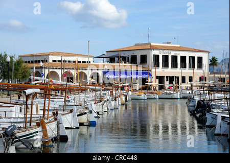 Le barche nel porto di marina di Puerto de Pollensa, Port de Pollenca Maiorca Maiorca, isole Baleari, Mare Mediterraneo Foto Stock