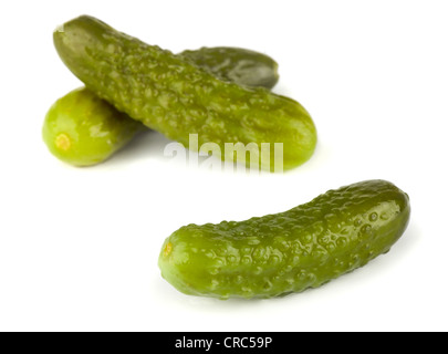 3 cetriolini sottaceto isolati su sfondo bianco Foto Stock