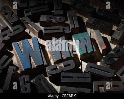 Blocchi di legno ortografia www. Foto Stock