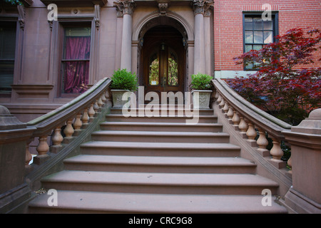 Passi & balaustra portano alla elegante doppia porta in Broolyn più antiche e più ricche di quartiere, Brooklyn Heights Foto Stock