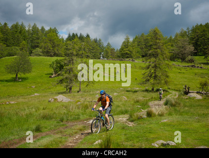 I ciclisti e gli amanti delle passeggiate sulle altezze Claife, South Lakeland, Cumbria, England Regno Unito Foto Stock