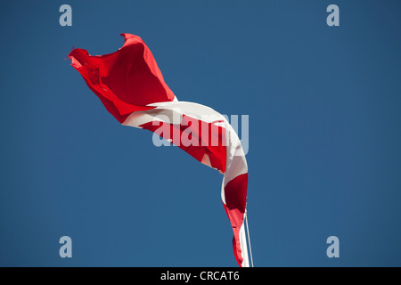 Una bandiera canadese soffia il vento Foto Stock