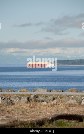 Una chiatta riempito con polpa sul suo cammino al mulino. Foto Stock