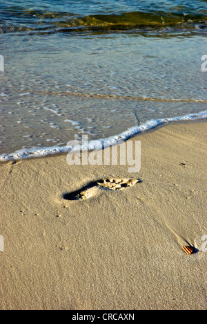 Ingombro a grana fine sabbia bordo costa Orange Beach Gulf Shores Alabama Foto Stock