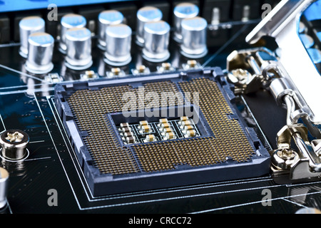 Svuotare socket del processore sulla scheda madre del computer Foto Stock