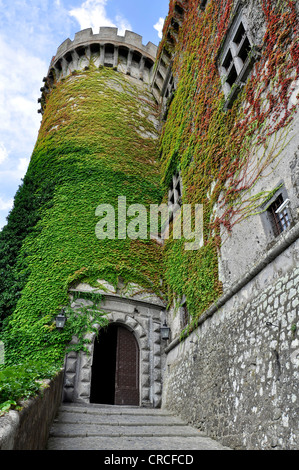 Castello Odescalchi, fortezza, portale, bastione coperta di edera (Hedera helix), Bracciano, Lazio, l'Italia, Europa Foto Stock