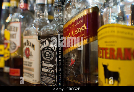 Bottiglie di alcolici vari in piedi sul ripiano in un bar Foto Stock