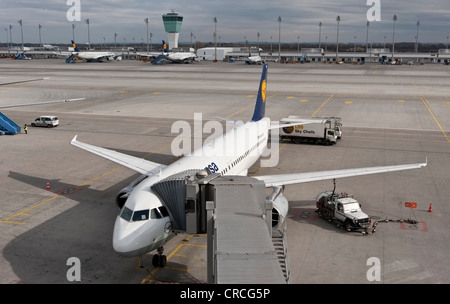 Lufthansa Airbus A320-200, Wiesbaden, all'aeroporto di Monaco di Baviera, Germania, Europa Foto Stock