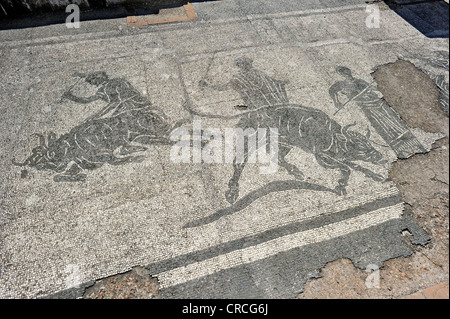 Mosaici in rovine della caserma di polizia della Caserma dei Vigili di Ostia Antica sito archeologico, antico porto della città di Roma Foto Stock