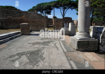 Mosaici in rovine della caserma di polizia della Caserma dei Vigili di Ostia Antica sito archeologico, antico porto della città di Roma Foto Stock