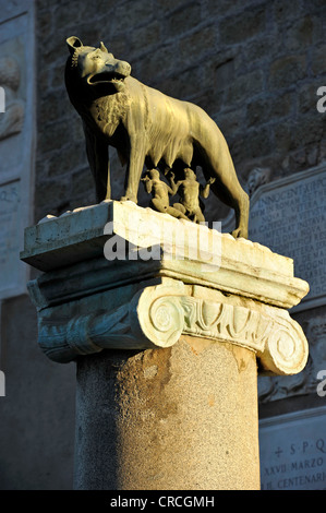 Lupo capitolino con Romolo e Remo sul Palazzo Senatoriale, Capitol Square, la Piazza del Campidoglio, Campidoglio, Roma Foto Stock